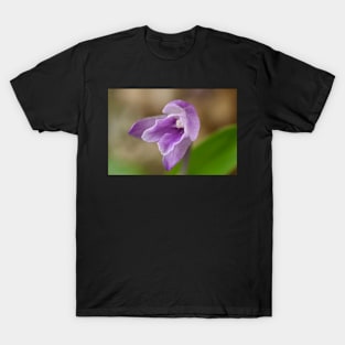 Roscoea alpina T-Shirt